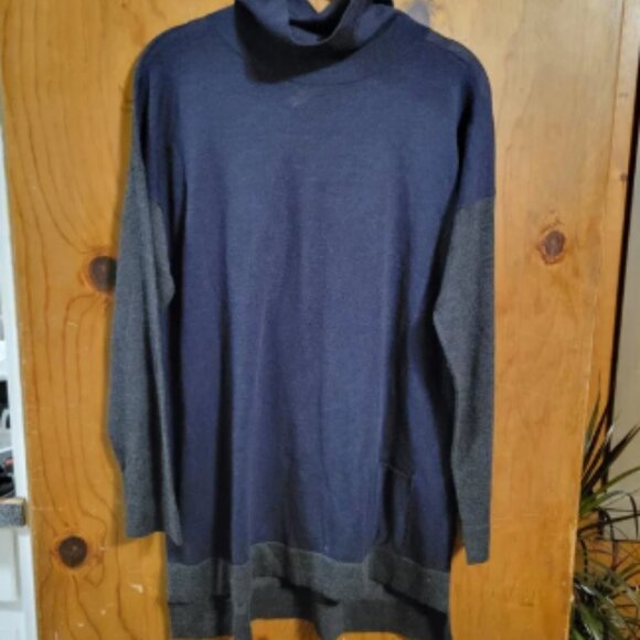 Eileen Fisher 100% Merino Wool Color Block Turtleneck Sweater - Picture 1 of 6